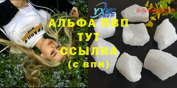 spice Белокуриха