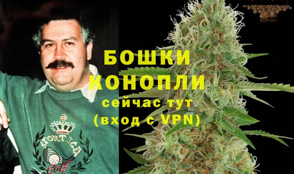spice Белокуриха