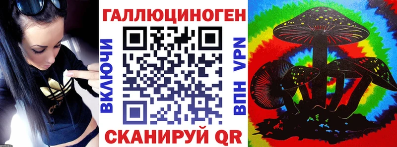 Галлюциногенные грибы Psilocybine cubensis  как найти закладки  Губаха 